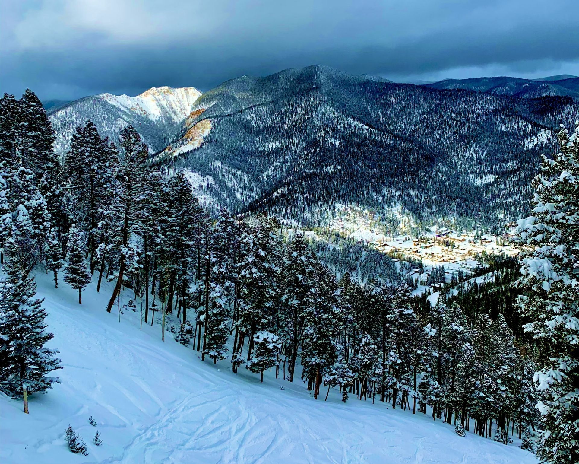 Snow-covered mountain slope with pine trees overlooking a blue, forested valley under cloudy skies