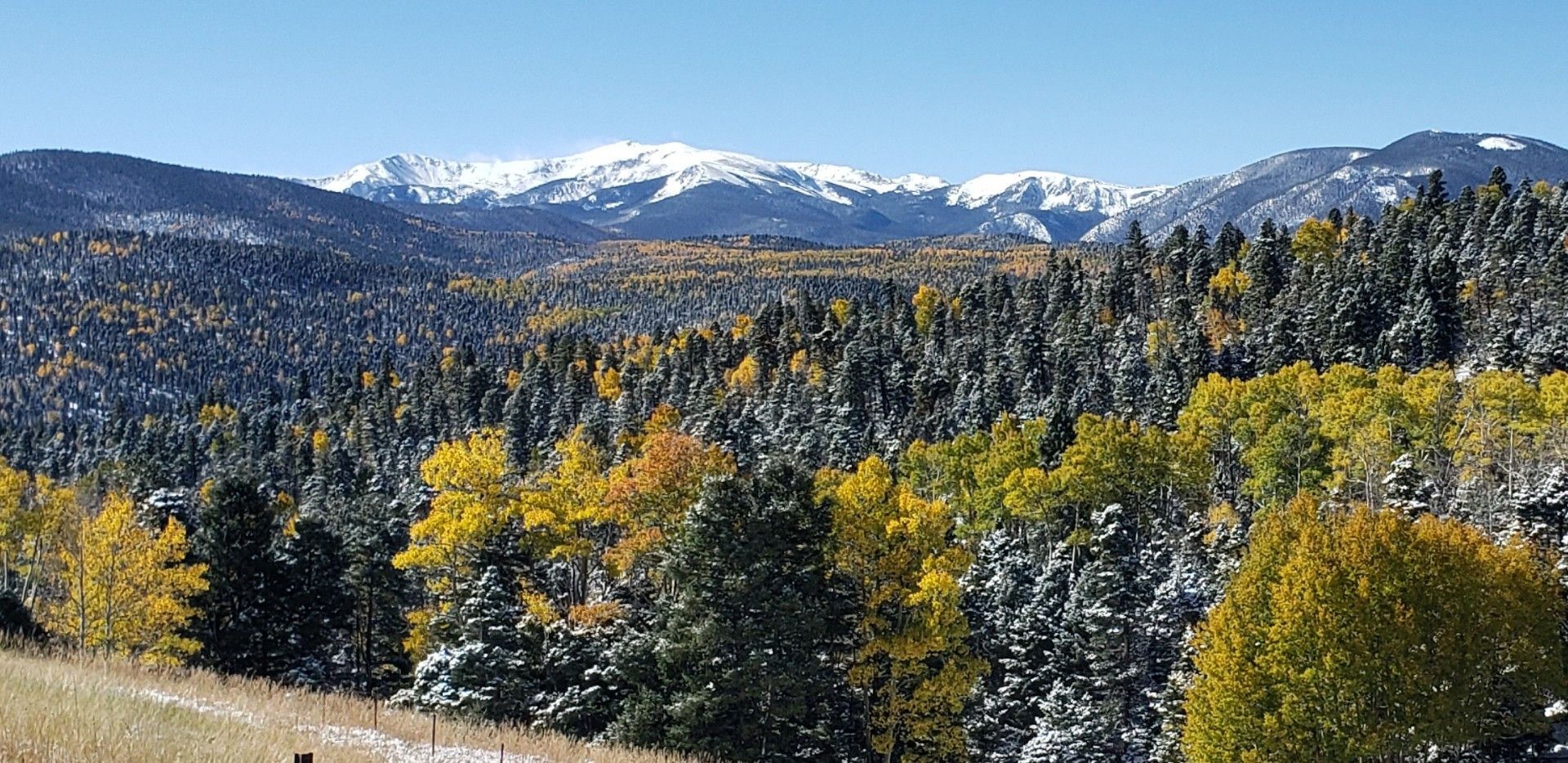 Snow-capped mountains מעל a forest with autumn trees under a clear blue sky