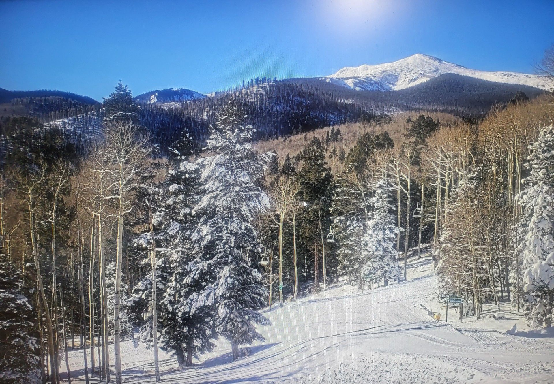 Snowy mountain landscape with evergreen trees under a bright blue sky