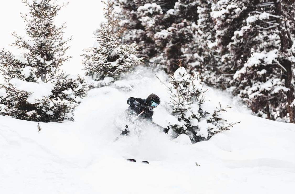 Snowboarder carving through deep powder on a snowy mountain slope, surrounded by pine trees.