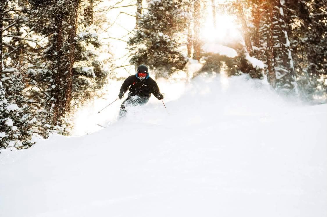 Skier carving through fresh powder in a snowy forest, sun glowing through trees