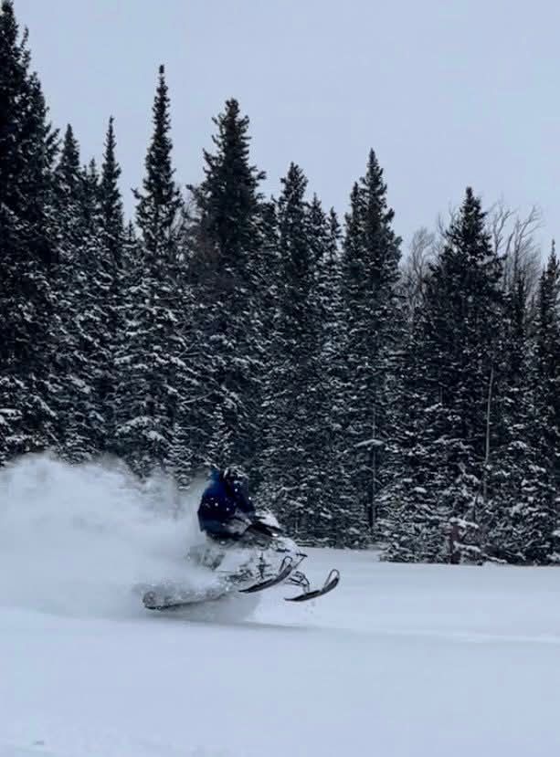 Snowmobile kicking up powder on a snowy trail beside a dense pine forest
