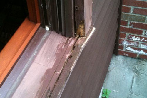 Damaged Window