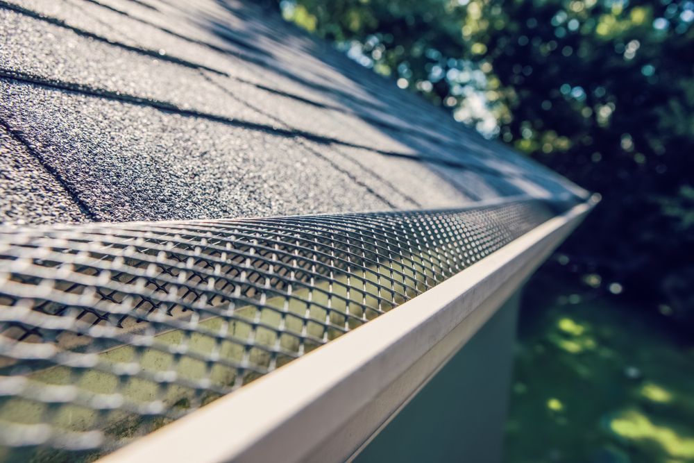 Close-Up of A Roof Edge with A Gutter and Mesh Screen — Geoff Hall Roofing in Kempsey, NSW