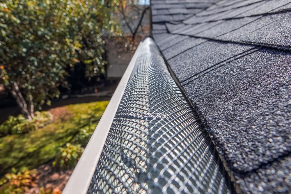 Gutter with Mesh Guard on A Roof, Preventing Debris from Entering — Geoff Hall Roofing in Port Macquarie, NSW