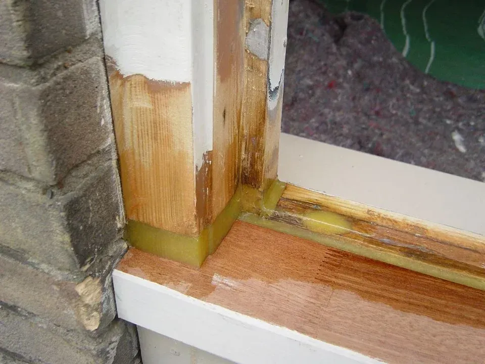 hout rot reperatie