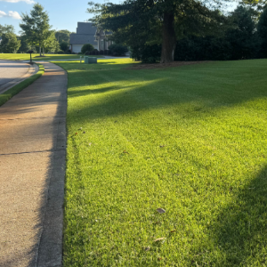 A neatly mowed residential lawn next to a concrete sidewalk, with a parked truck in the background.