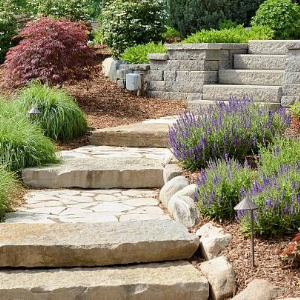 Stone steps and a stone path wind through a garden with lavender, lush green shrubs, and a tiered rock retaining wall.