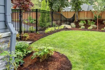 Backyard garden with green lawn, mulch beds, black metal fence, and a gray house exterior