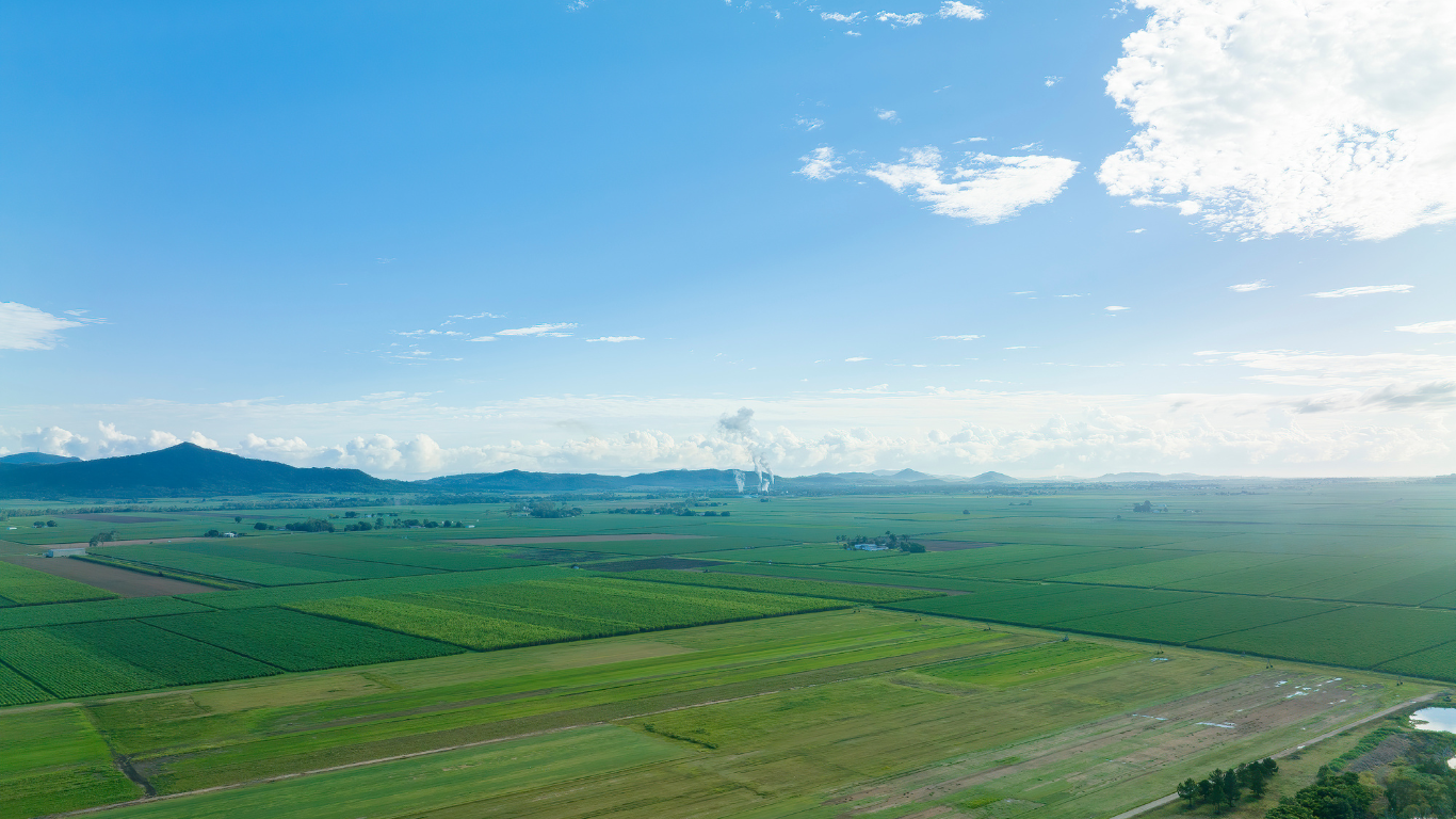An aerial view of a lush green field with mountains in the background.