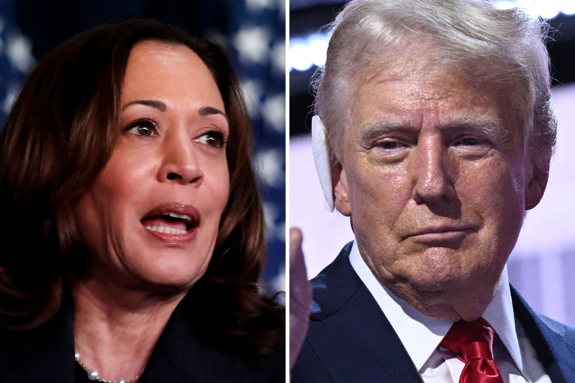 Kamala Harris and Donald Trump photo