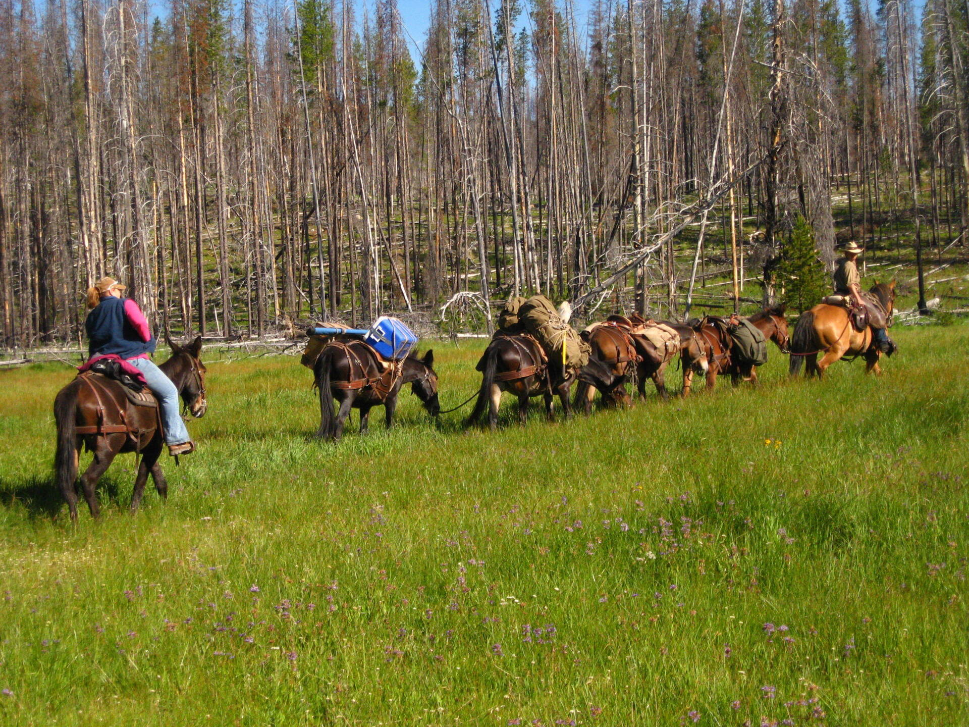 McCall,Idaho Fly Fishing Outfitters, Fly Fishing Guide, Backpacking
