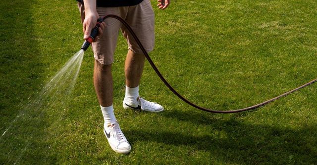Top 5 Lawn Care Tips for Surviving the Summer Heat
