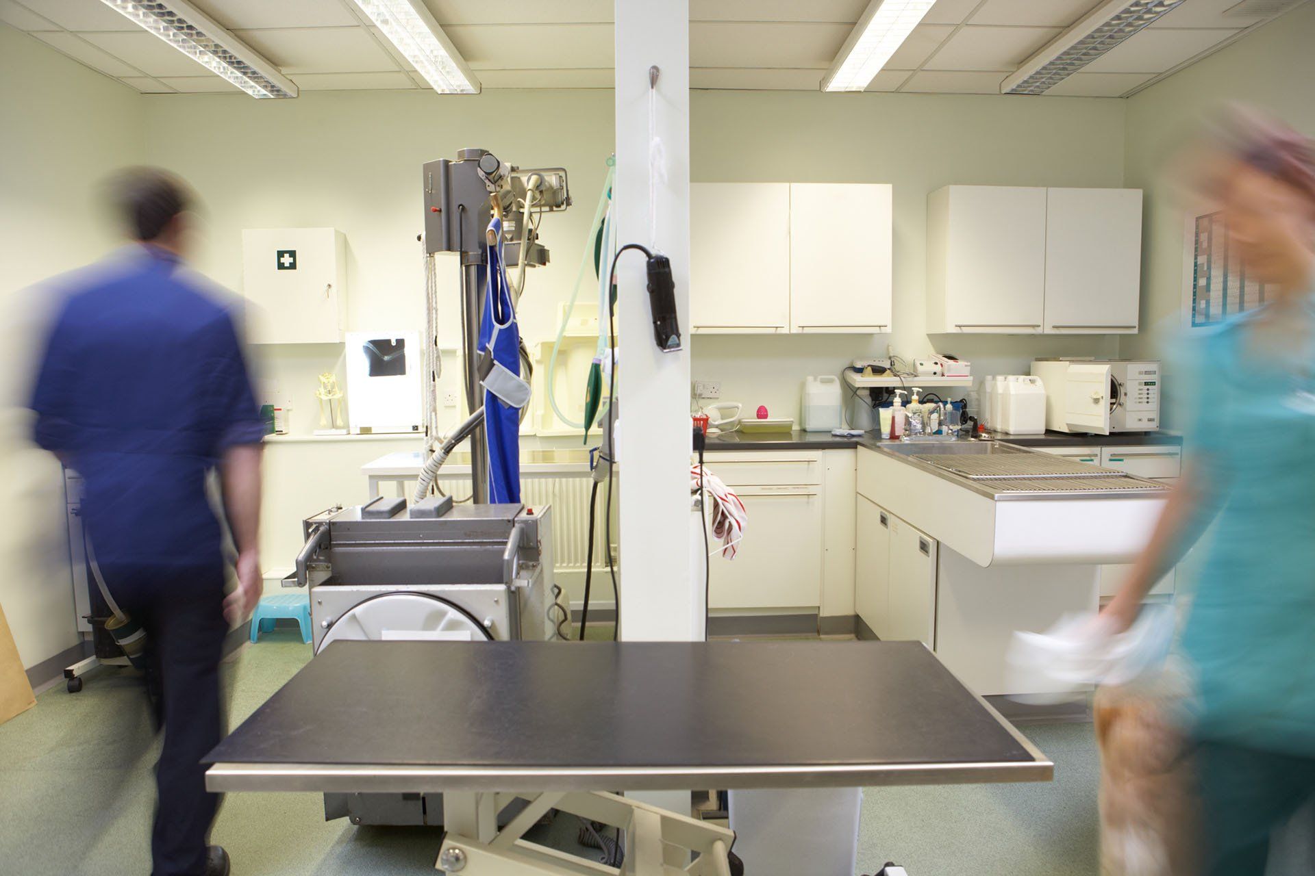 Veterinary Clinic — Bethalto, IL — Mayfield Medical Services