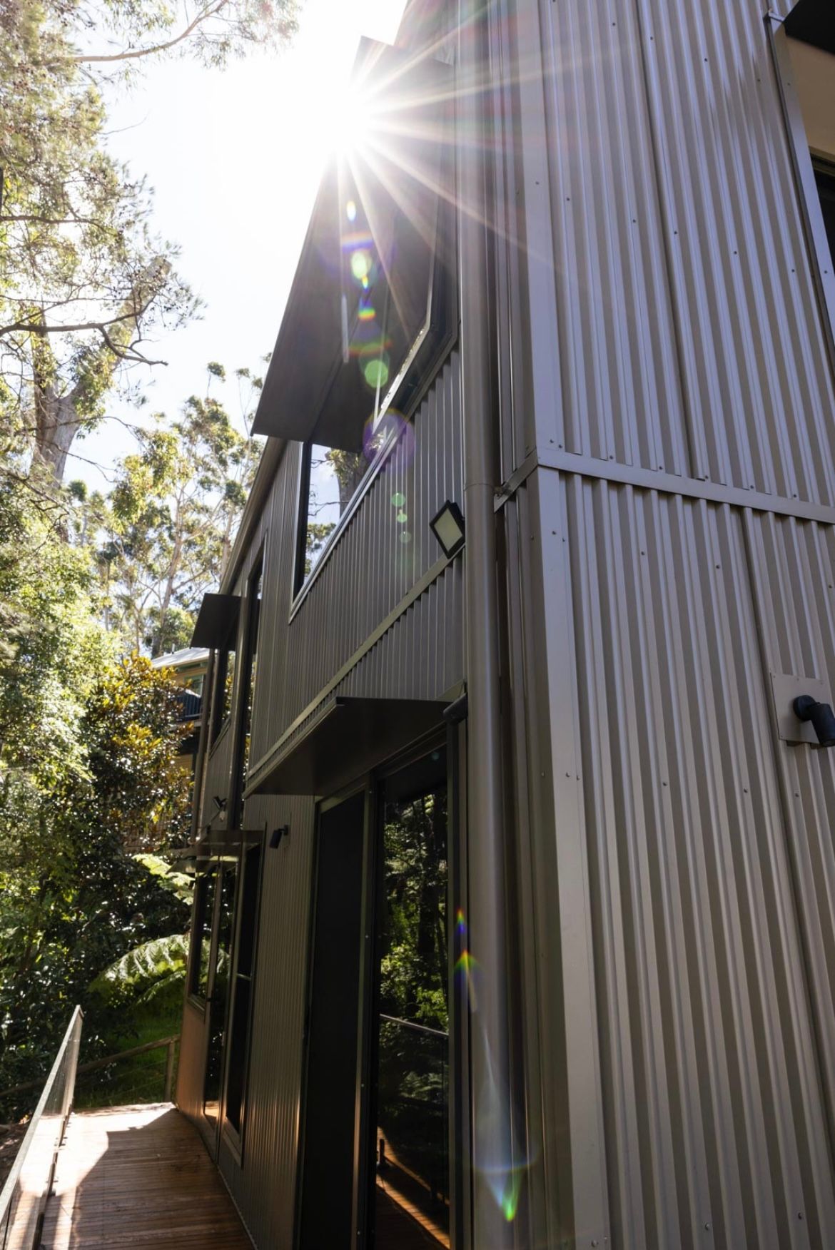 Wall Cladding On A House With Forest And Sun Behind — Metal Roofing by Matt Dwyer in Gerringong, NSW