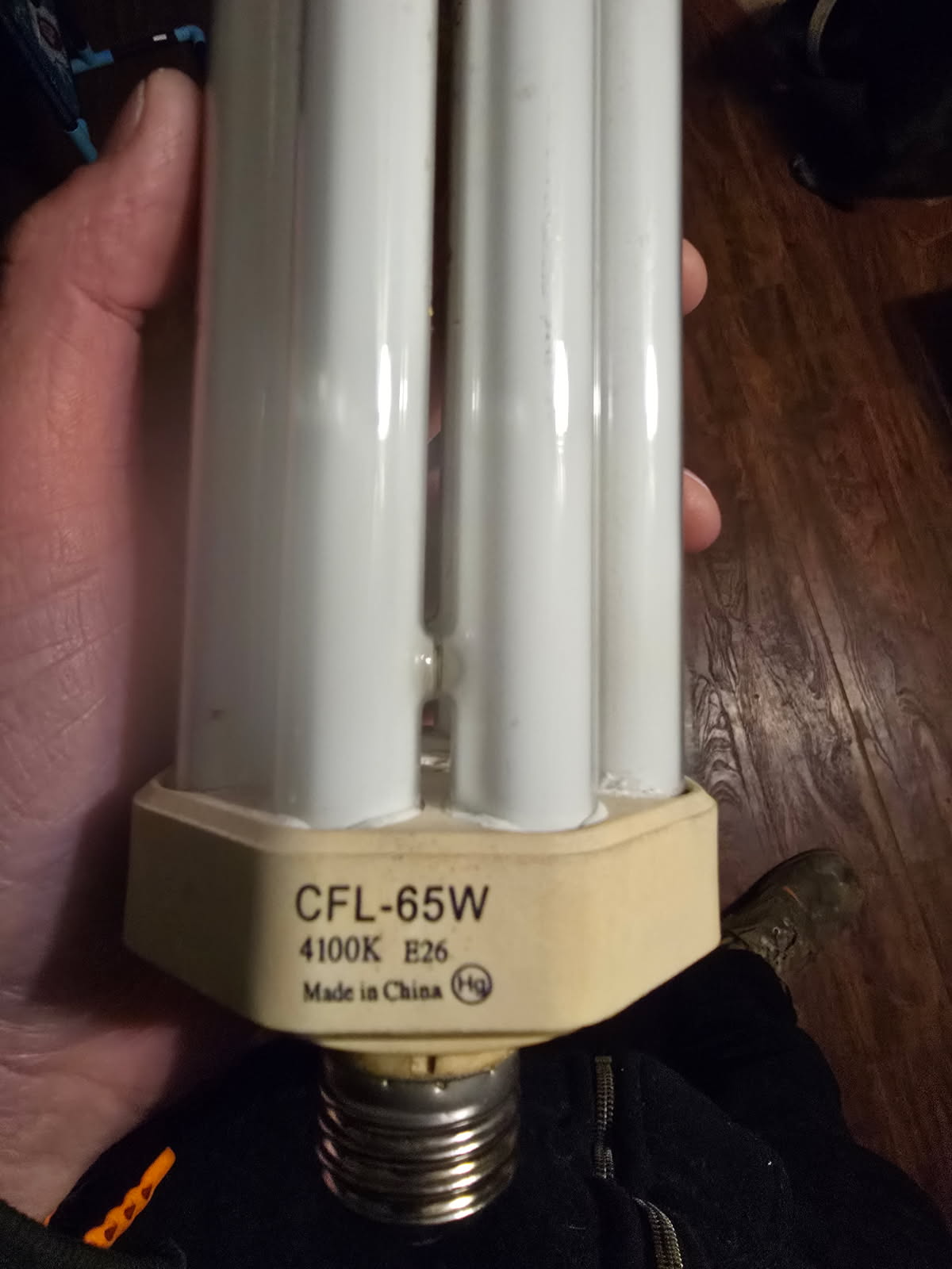 Hand holding a large, white CFL lightbulb, labeled 