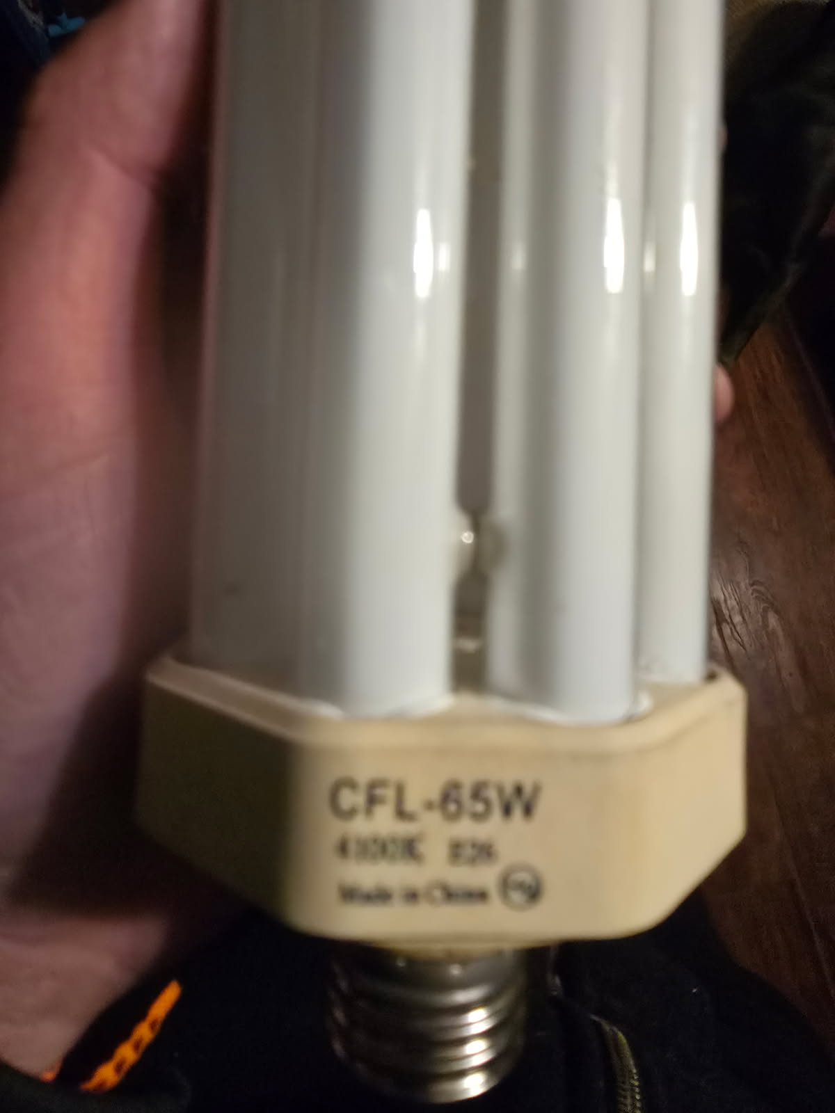 Close-up of a CFL-65W compact fluorescent light bulb held in a hand