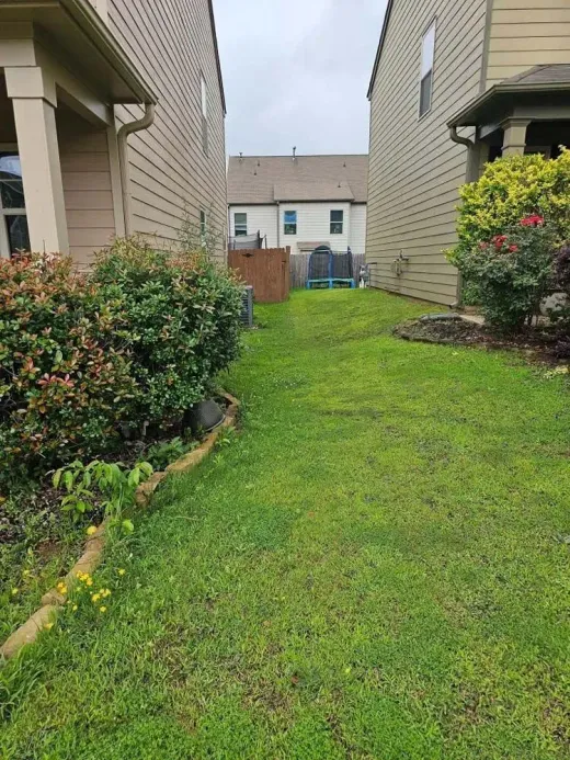 Narrow grassy walkway between beige houses, with bushes lining both sides.