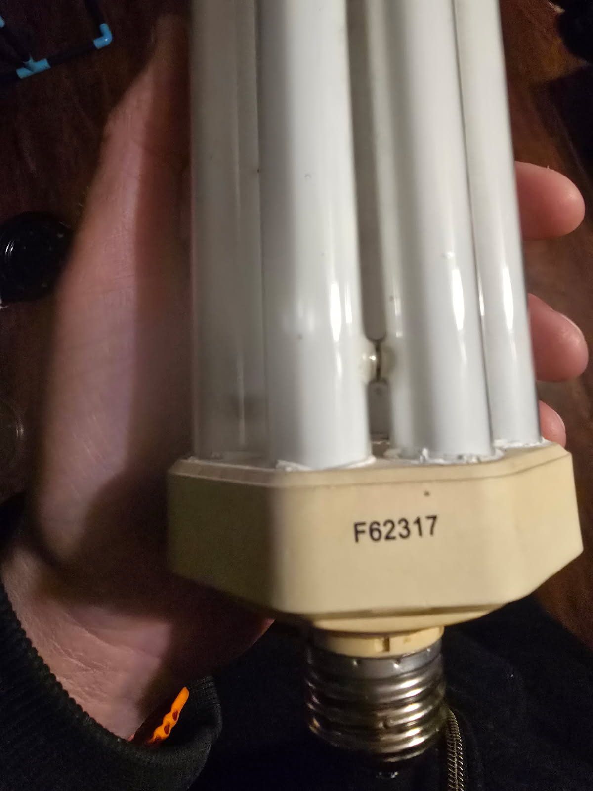 Hand holding a compact fluorescent light bulb with the number F62317 printed on it.
