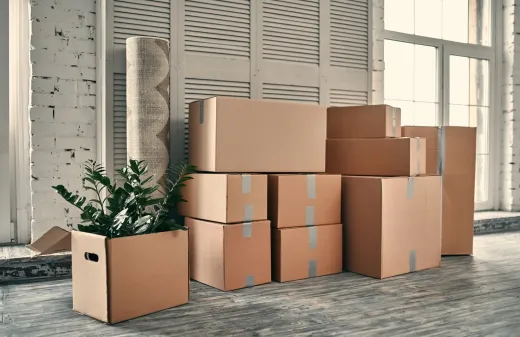 Stacked moving boxes in a bright room with a potted plant and large windows