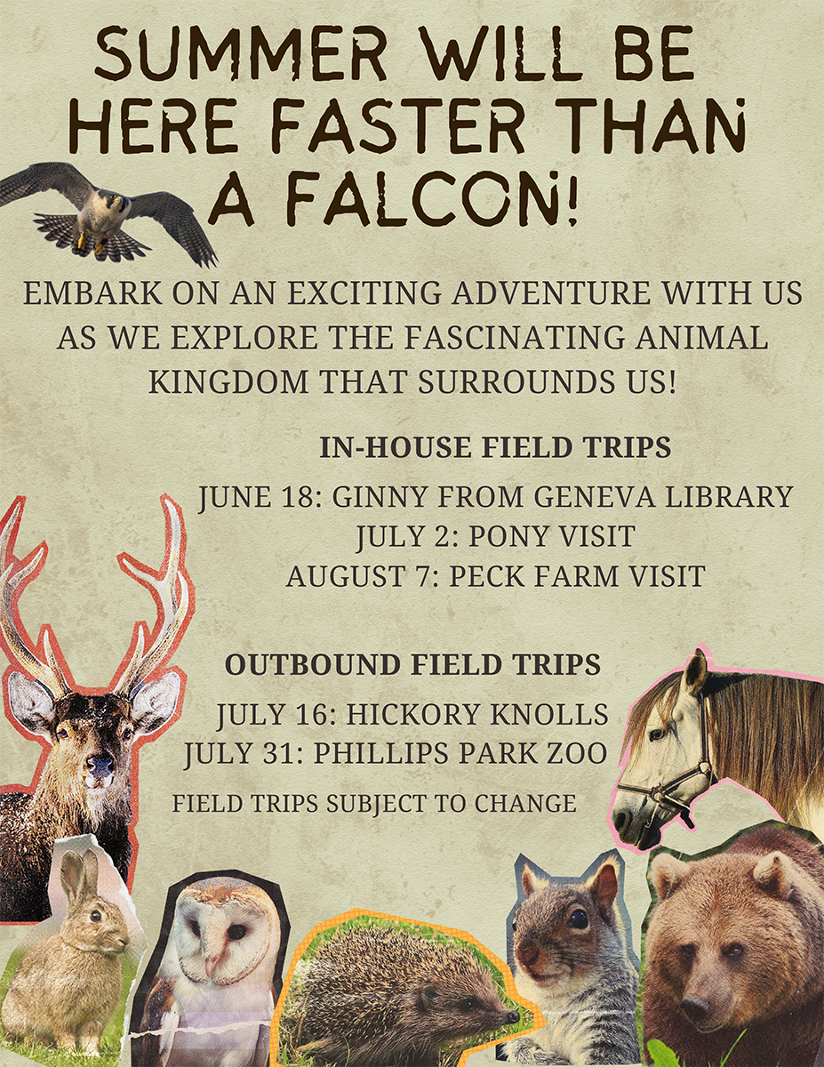 Mansio Montessori summer field trip flyer featuring animal theme and June–August trip dates.