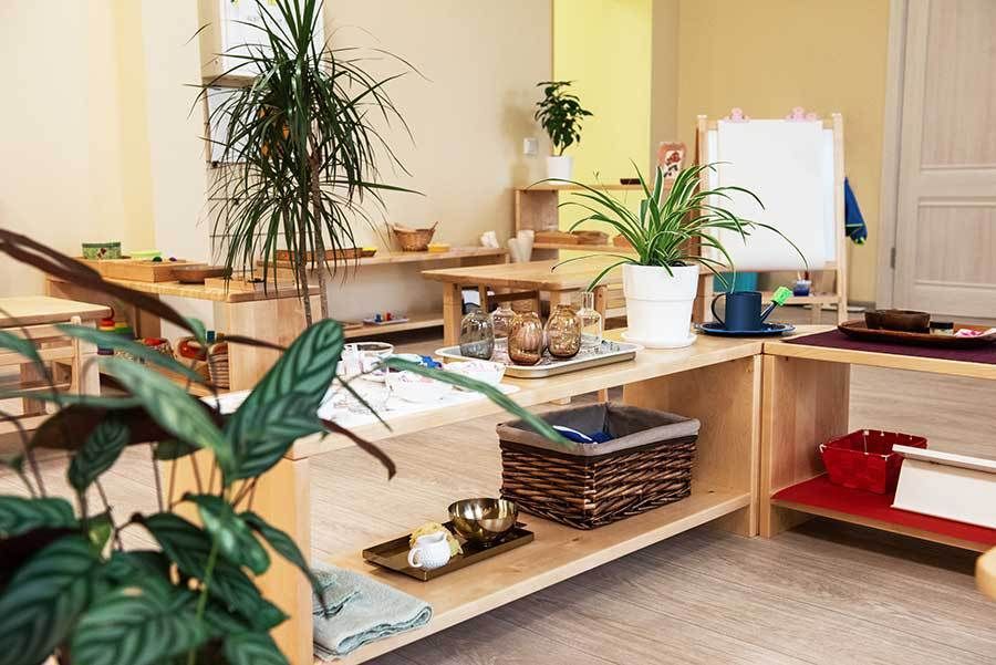 A room with a lot of shelves and plants in it.