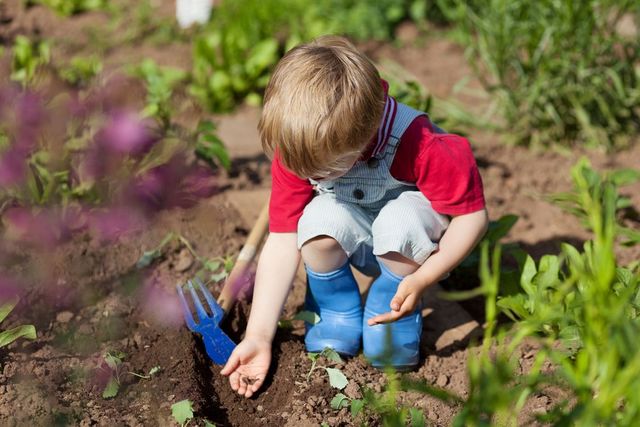 Benefits of Gardening with Preschoolers | Mansio Montessori