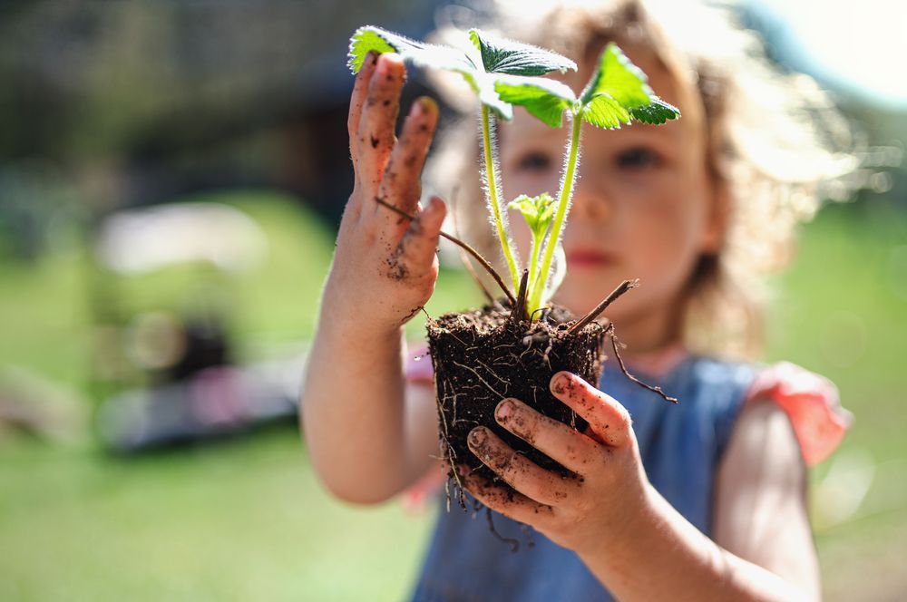 Benefits of Gardening with Preschoolers | Mansio Montessori