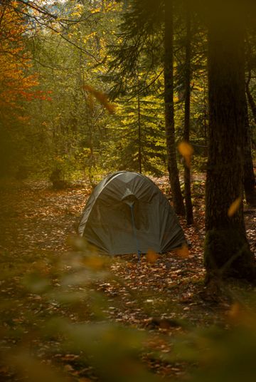 A gray camping tent nestled in a quiet forest clearing covered with autumn leaves.