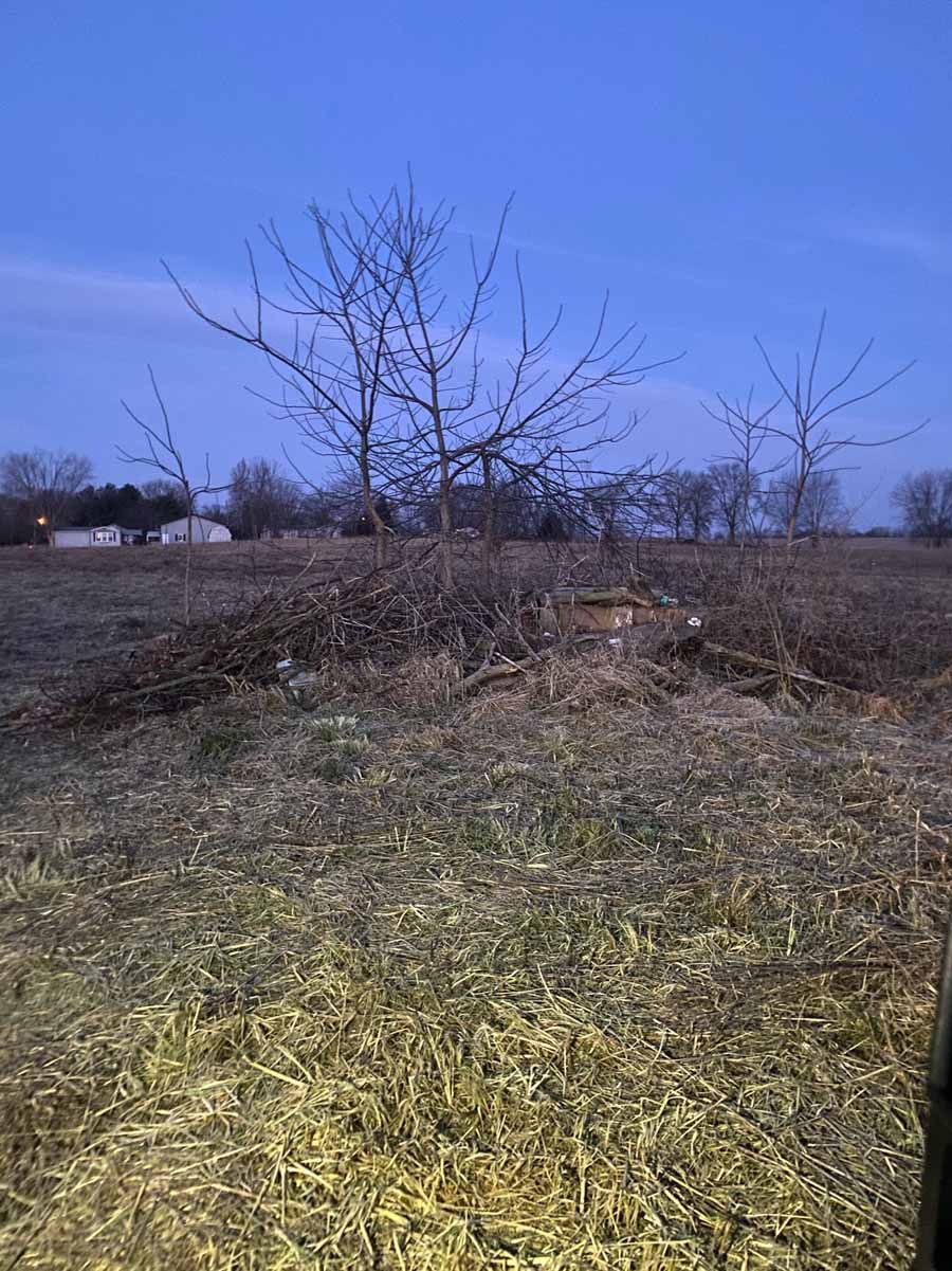 A cluster of bare trees and brush piles sits in a flat, grassy field under a clear blue twilight sky.
