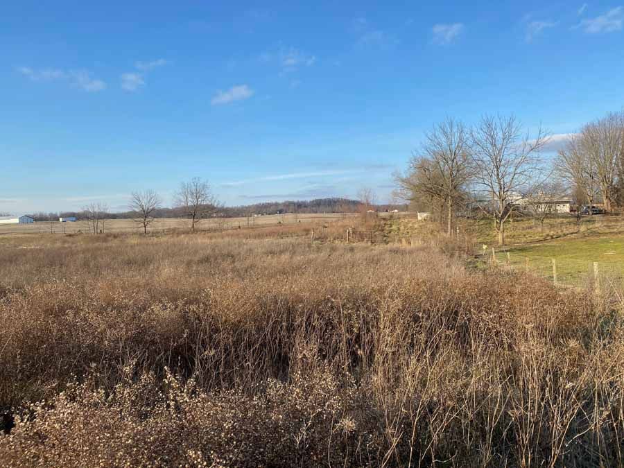 A wide, open field of dry, brown grasses under a clear blue sky, with sparse leafless trees in the distance.
