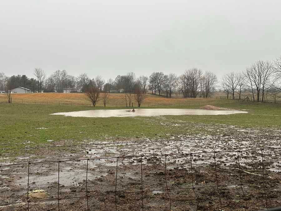 A muddy field with a large puddle in the center under a gray, overcast sky.