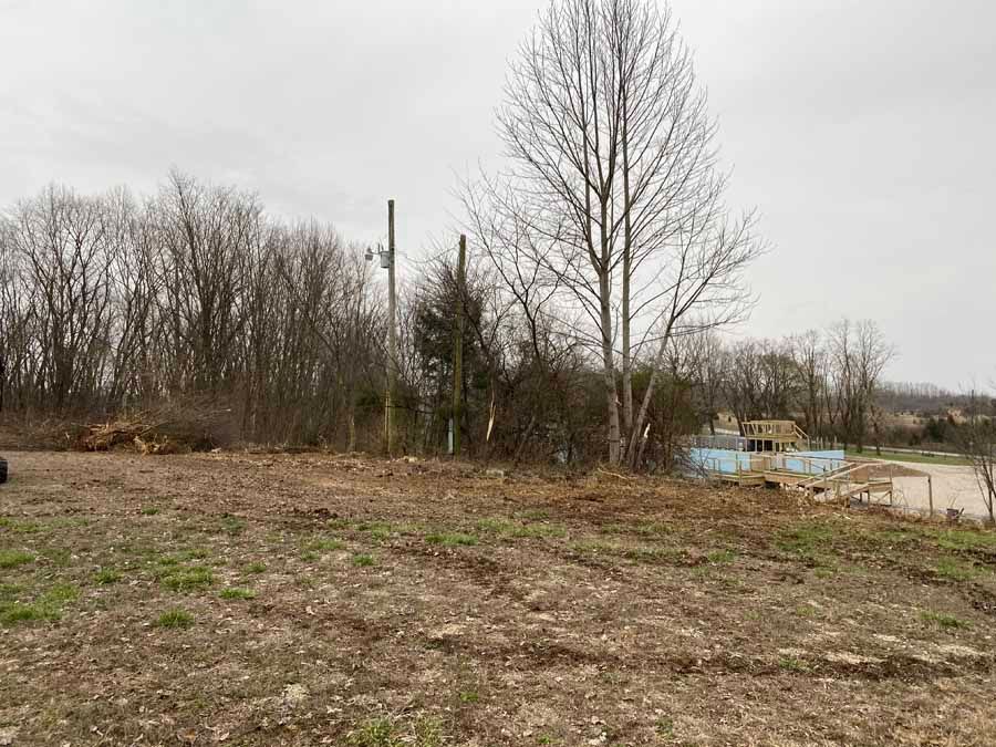 A cleared, grassy field under a cloudy sky, with a line of leafless trees and utility poles in the background.