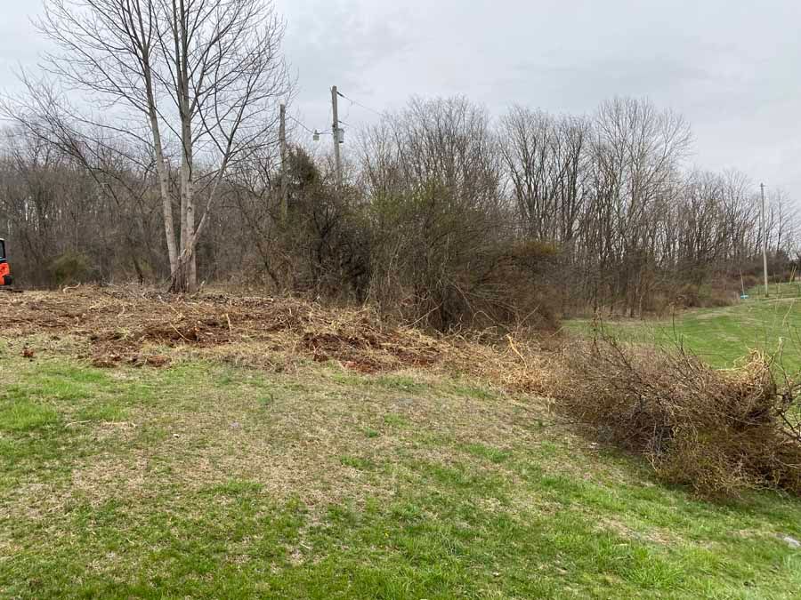 A patch of cleared earth next to an overgrown, dormant forest on a cloudy day.