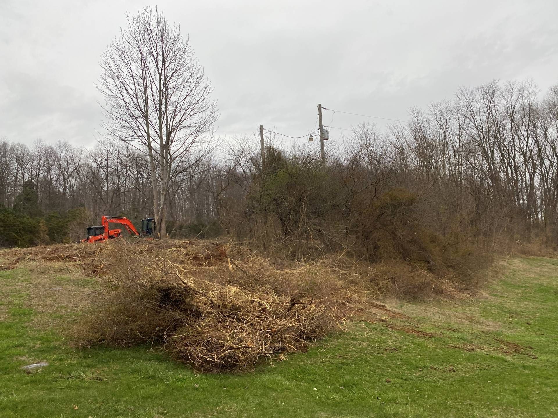 An orange construction vehicle clearing brush and trees in a field under an overcast sky.