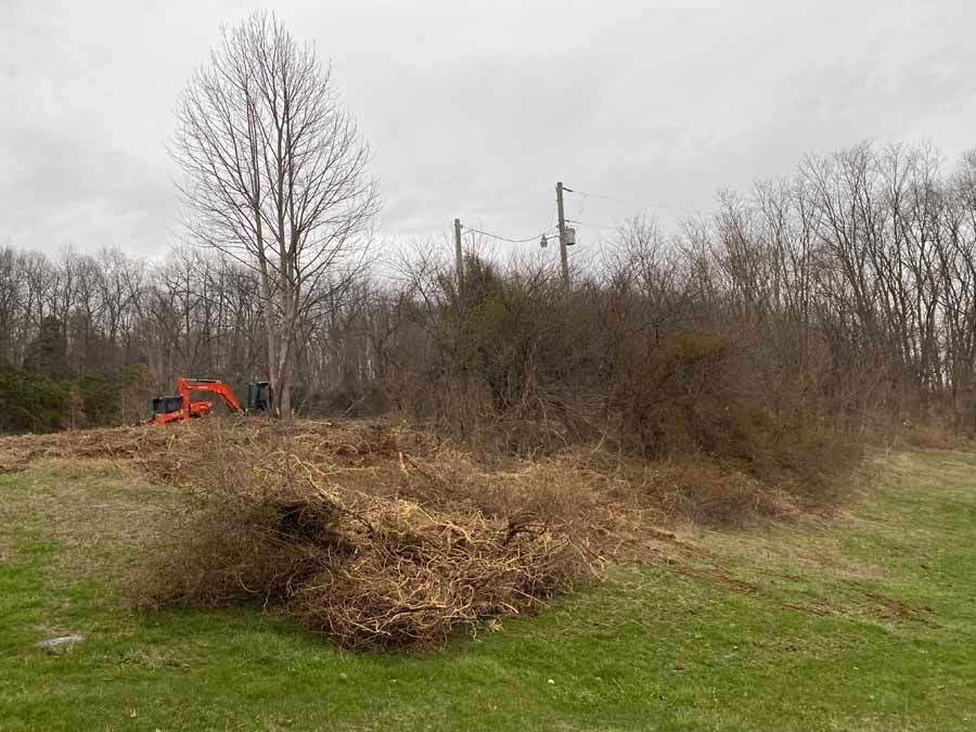 An orange construction excavator sits on a field of cleared brush and dirt with a line of bare trees in the background.
