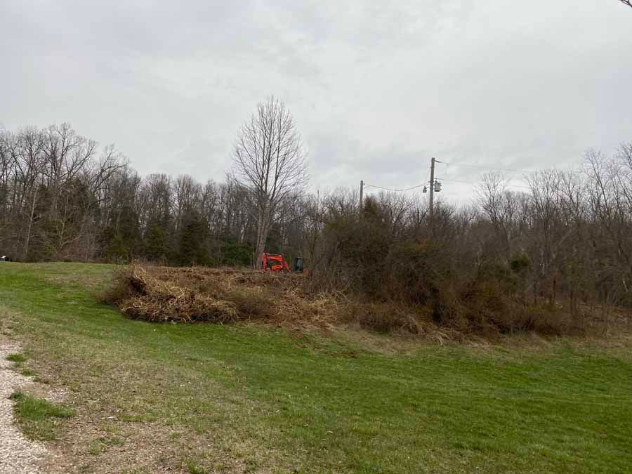 An orange tractor clearing brush and trees on a grassy, overcast rural hillside.