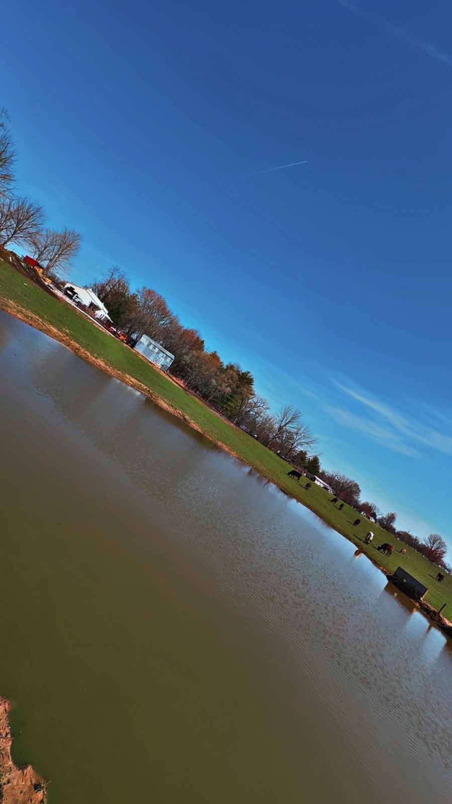 A pond with murky water reflecting a bright blue sky, with grassy banks and distant trees on a clear, sunny day.