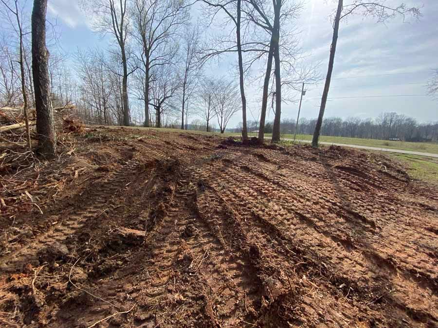 A field with recently cleared soil and visible tire tracks, surrounded by bare trees under a bright, sunny sky.