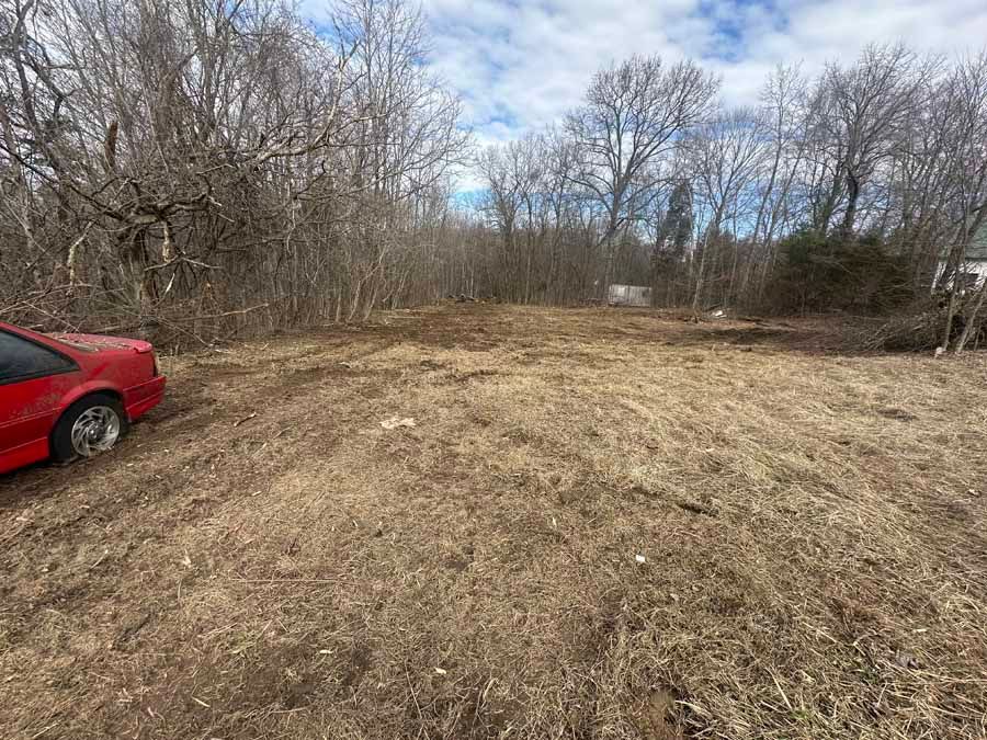 A red car parked on the edge of a dry, grassy field bordered by a dense forest of bare trees under a cloudy sky.