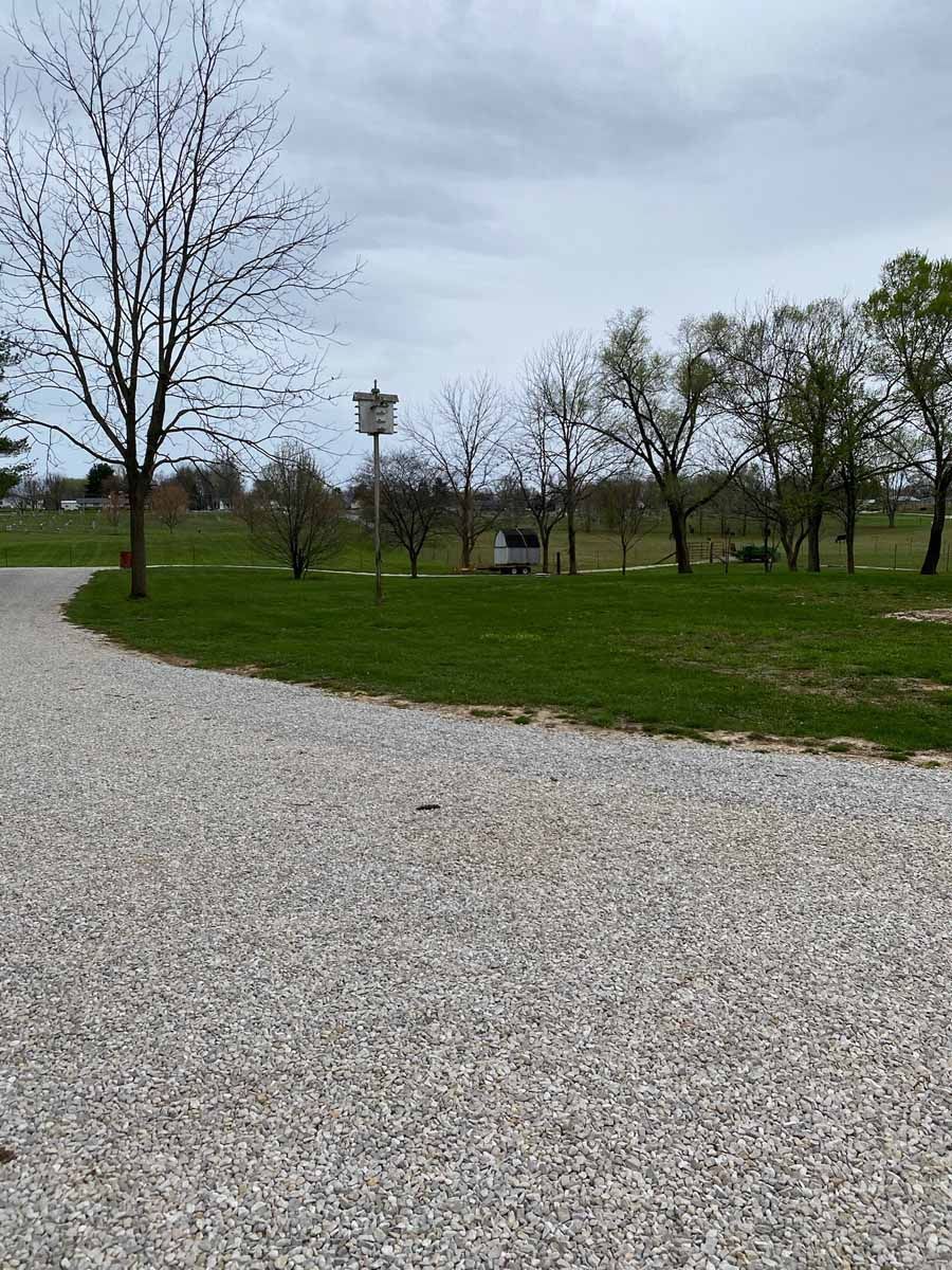 A gravel driveway curves past a grassy lawn featuring a birdhouse on a pole and several trees under a cloudy sky.