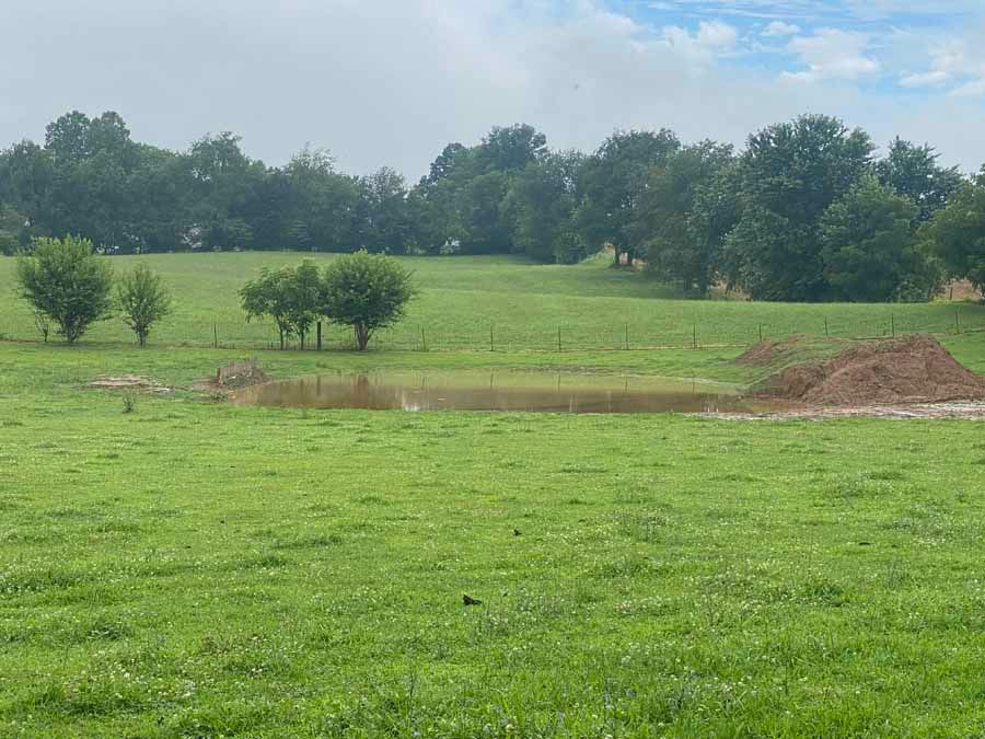 A rural landscape showing a pond in a grassy field with a mound of dirt nearby and a line of trees in the background.