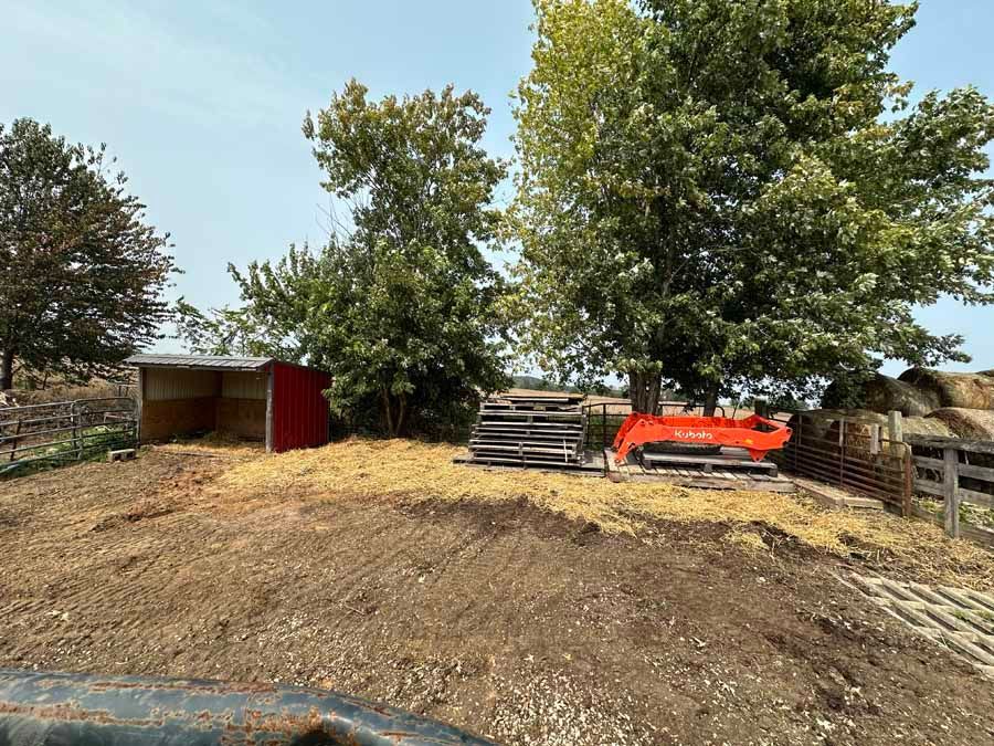 A farmyard with a red shed, a stack of wood, an orange tractor implement, and hay under large trees on a sunny day.