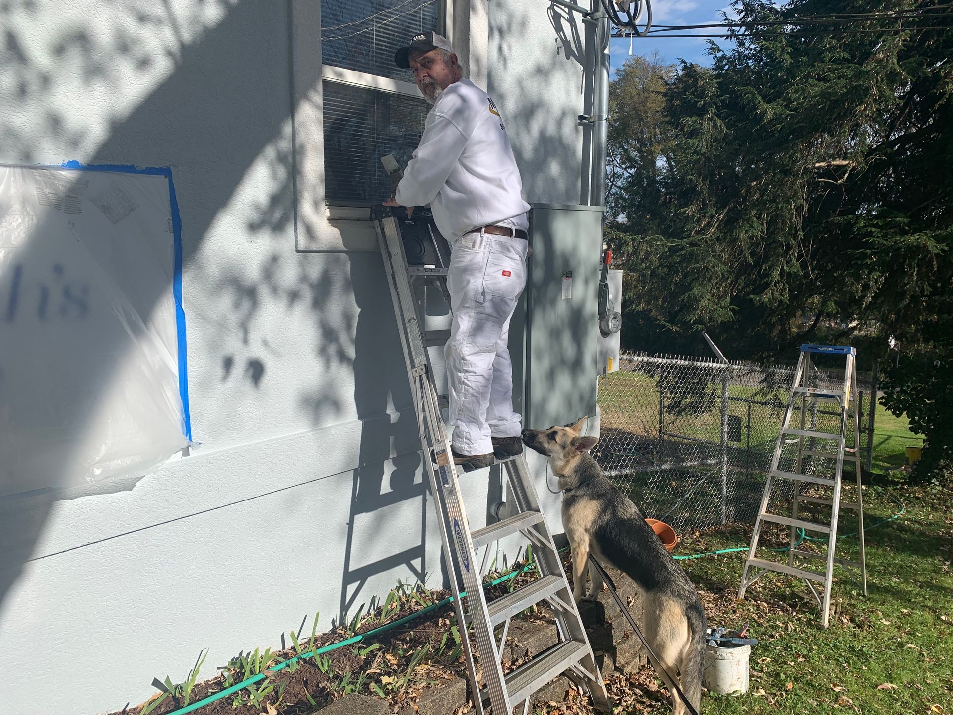 A man is standing on a ladder painting a house.