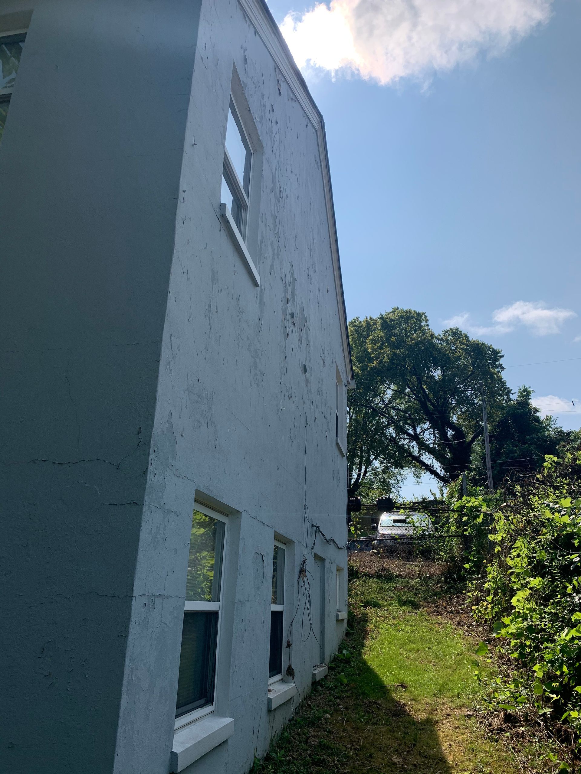A white building with a lot of windows and a tree in the background