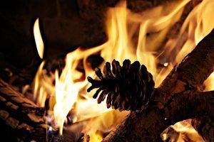 A pine cone is sitting in the middle of a fire.