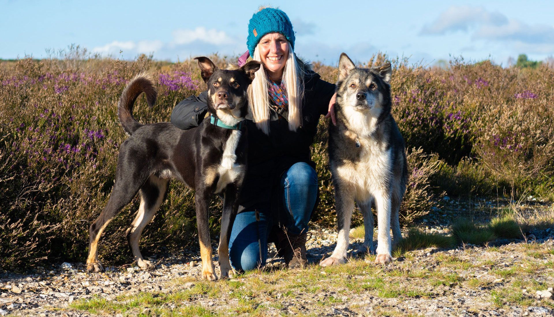 photoshoot for hilltop hounds in dorset