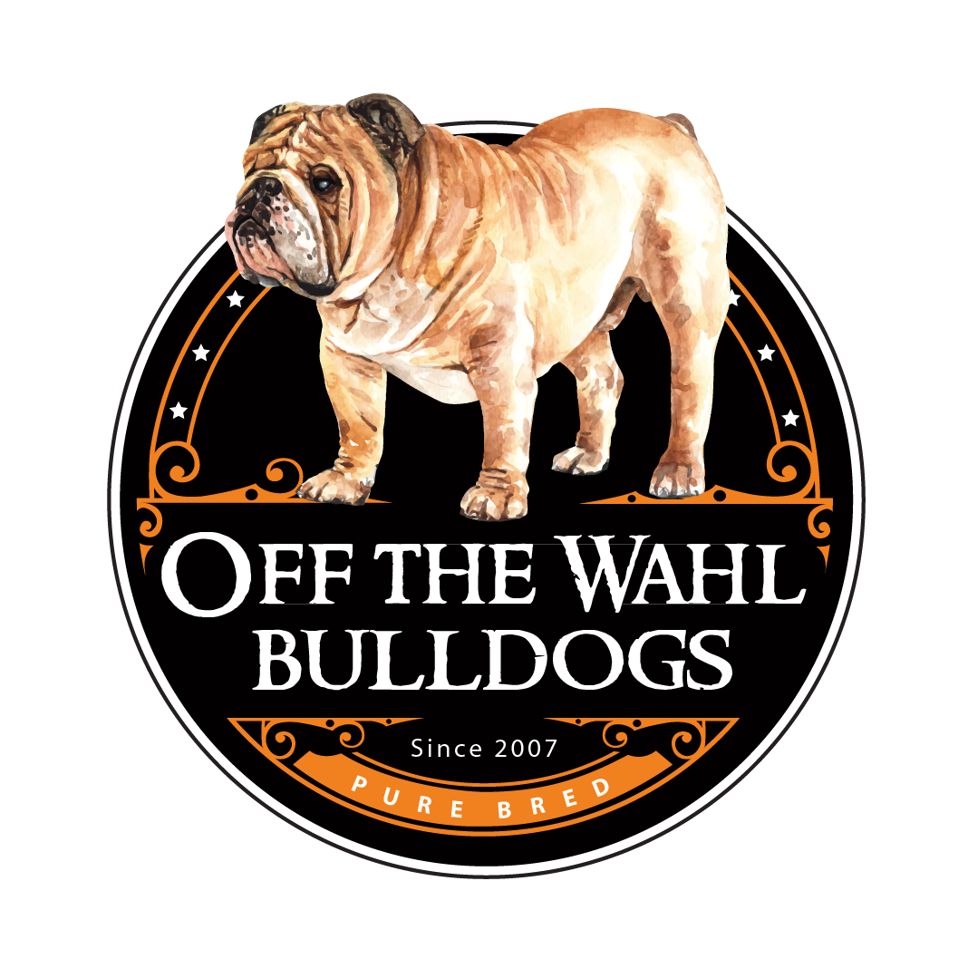 The logo for off the wahl bulldogs shows a bulldog