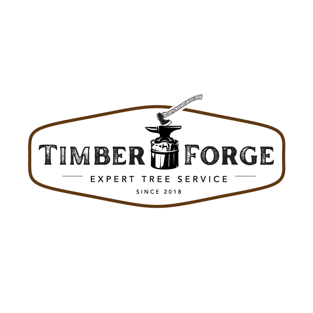 A logo for timber forge , an expert tree service company.