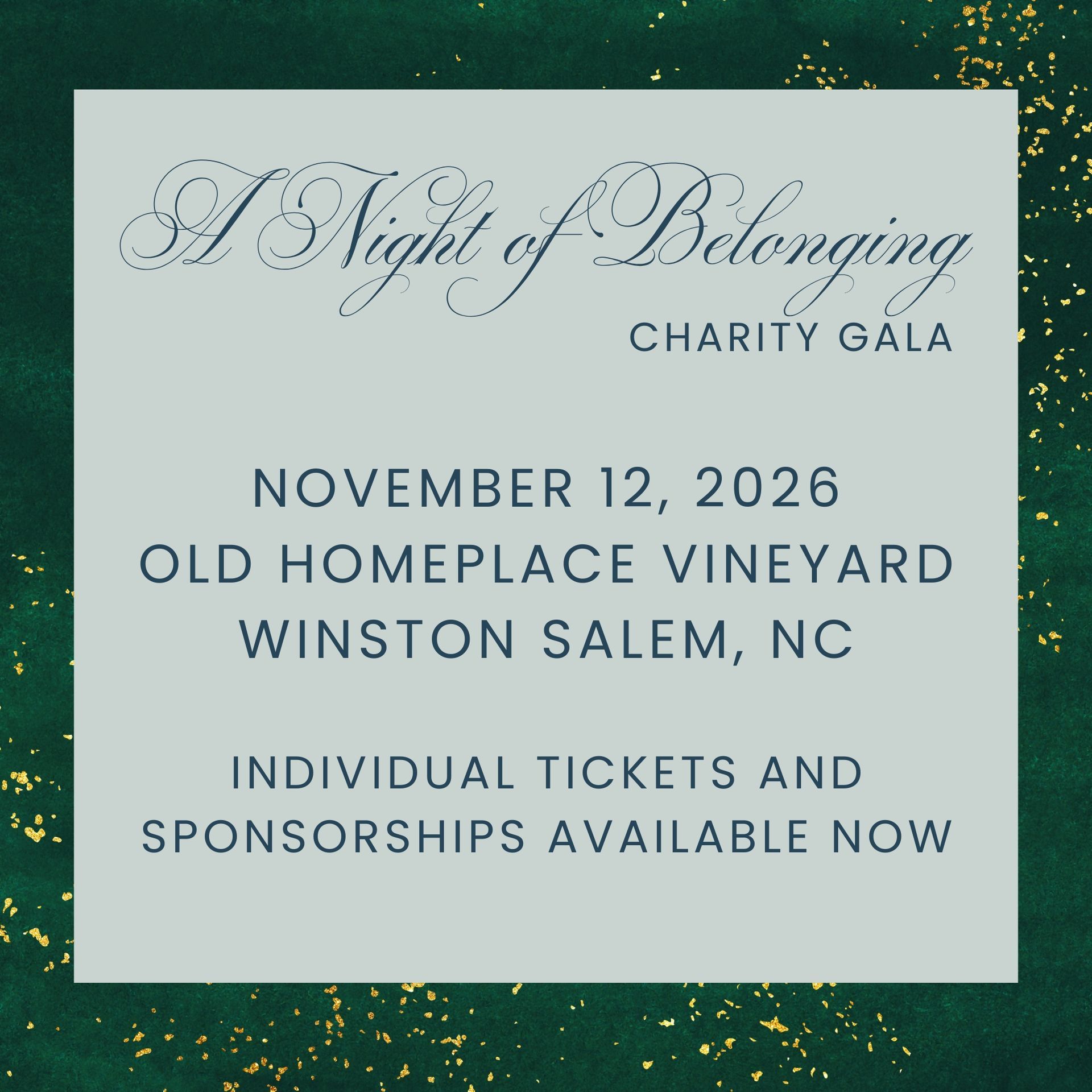 A Night of Belonging Fundraiser Gala is coming Nov 12th to raise funds to support children in Foster Care with Seven Homes